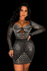 Shining Star Bodycon Dress