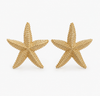 Starfish Earrings