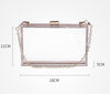 Clear Couture Clutch