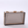 Clear Couture Clutch