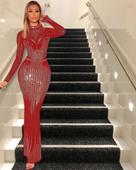She A 10 Diamond Mesh Gown