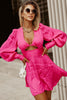 Fashionista Faith Lantern Sleeve Dress