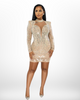 She Sparkle's Bodycon Dress